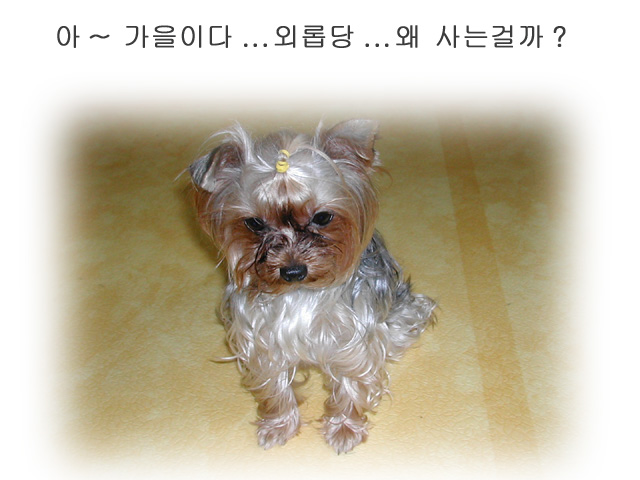 아~ 가을이다.. 외로버