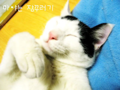 클로즈업