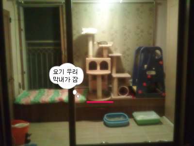 뻔순이엄마 ... 제1탄 첫만남