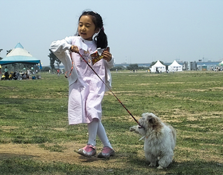 [반려동물TIP]반려견 외출의 필수품, 목줄에 대하여