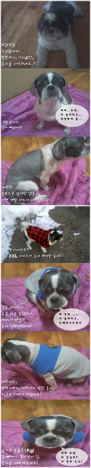 둥이! 다이어트 도전기! 성공하다!