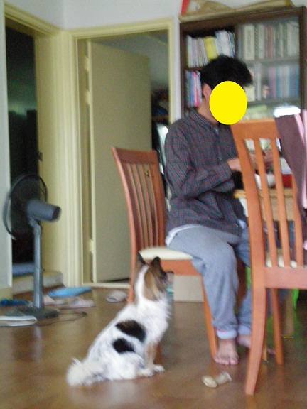 바둑 퍼레이드 ^^