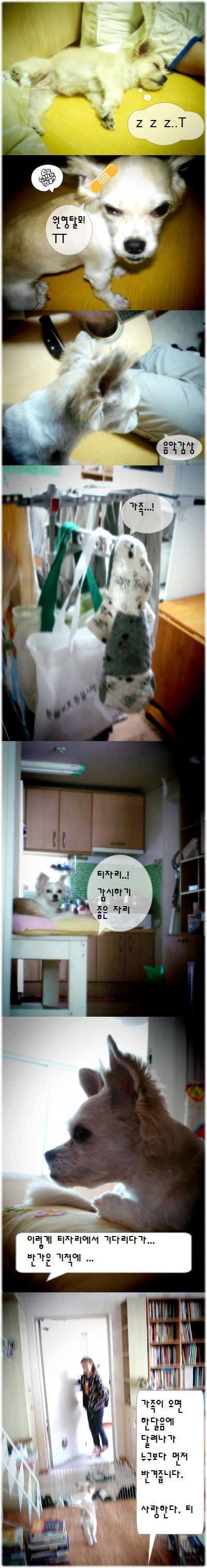 티 근황 ^^*