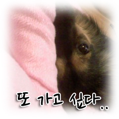 베를린 한강 공원 다녀왔어요