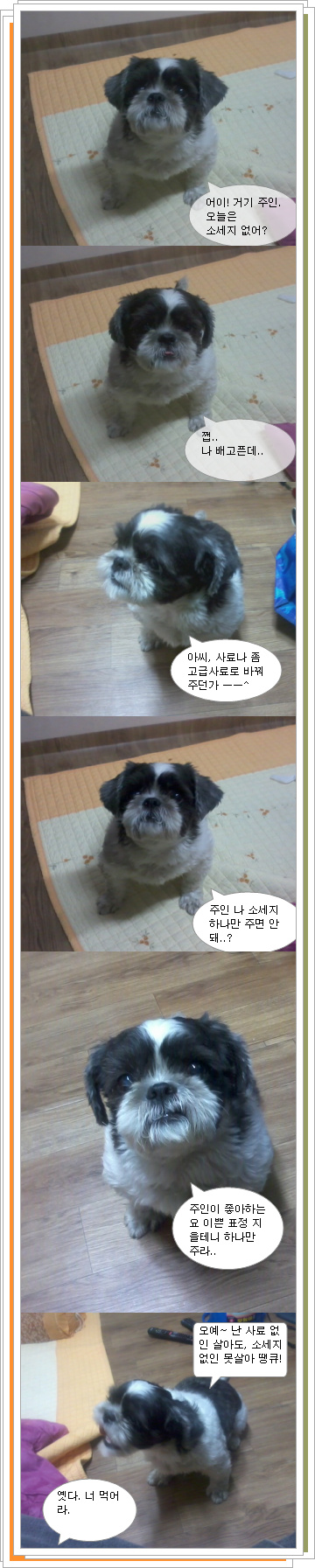 오랜만에 둥이 왔어요.. ^^
