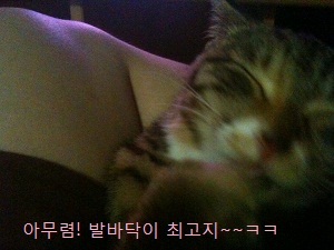 미리뽕일기.ㅋ