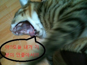 미리뽕일기.ㅋ