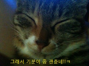 미리뽕일기.ㅋ