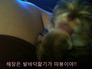 미리뽕일기.ㅋ