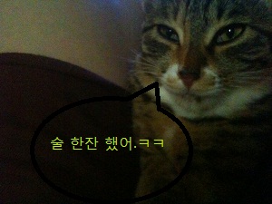 미리뽕일기.ㅋ