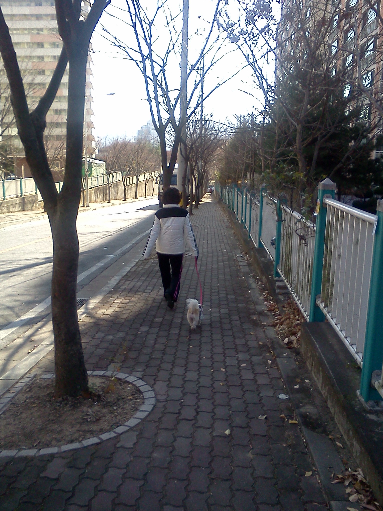 잠꾸러기 티