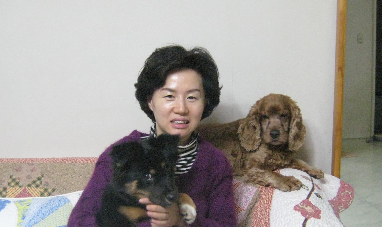 돌보 입양후기