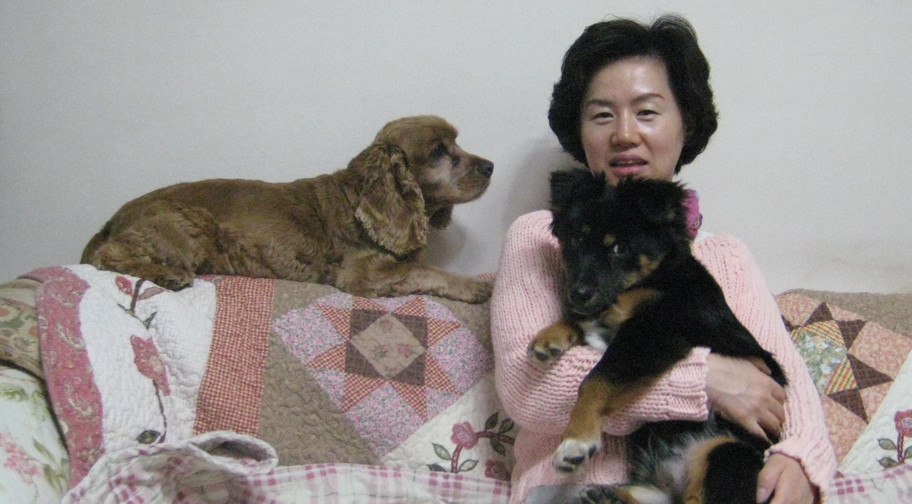 돌보 입양후기