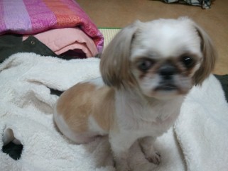 지수 후기 두번째~~~