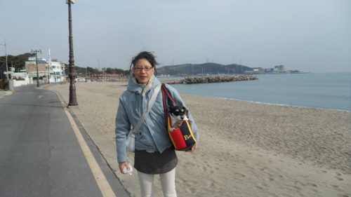 네로,슈슈,초롱이,순이들 겨울바다 산책