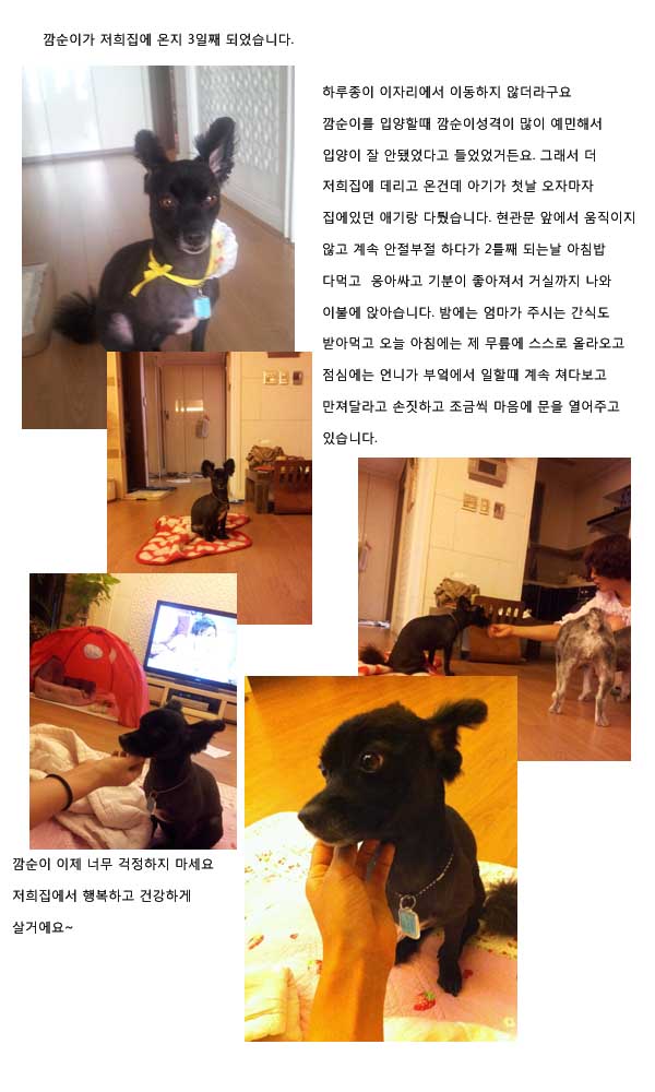 깜순이가 저희집에 왔습니다~