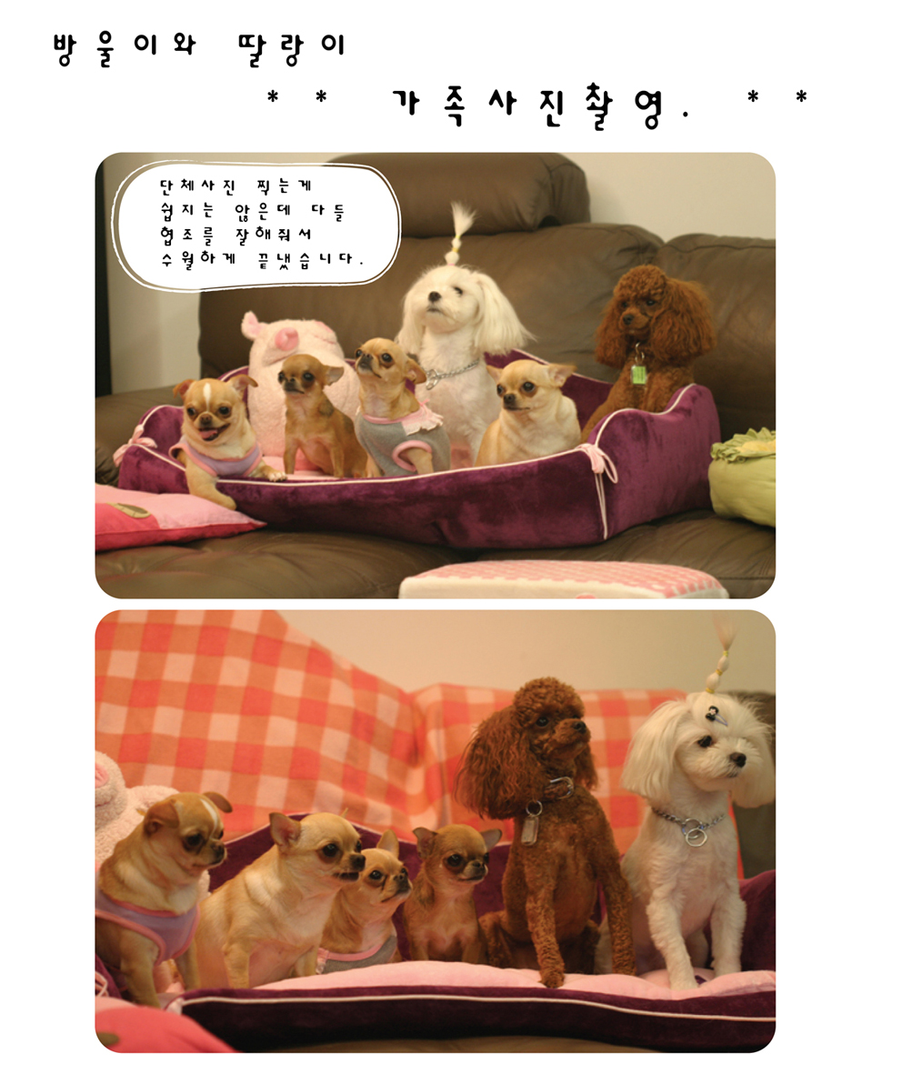 방울이와딸랑이