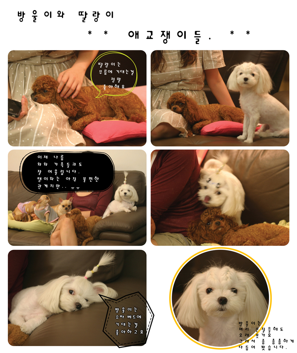 방울이와딸랑이