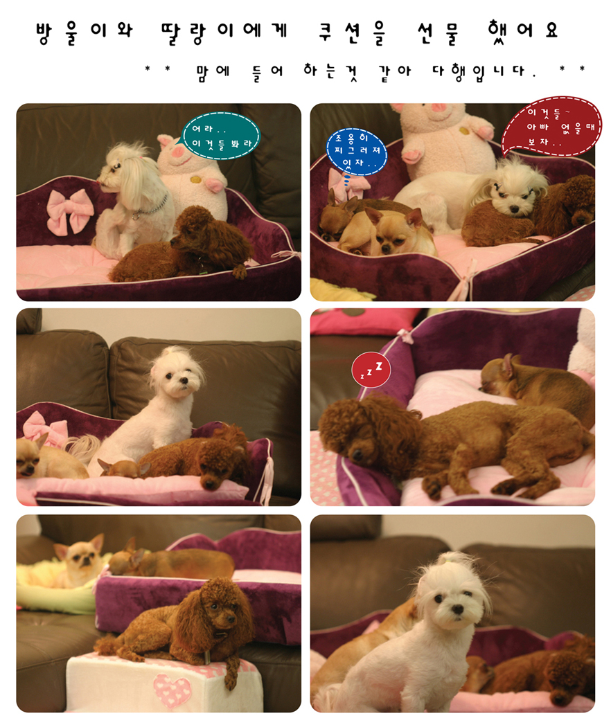 방울이와딸랑이