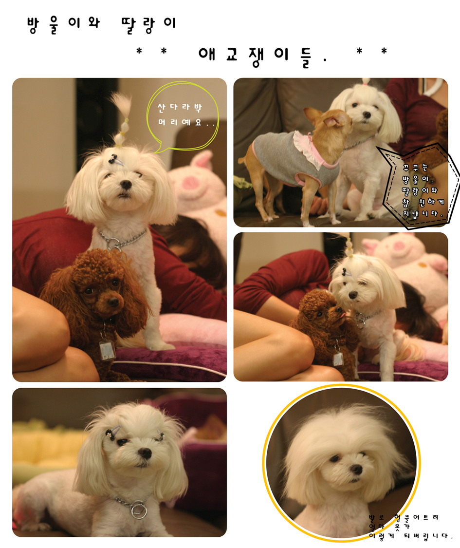 방울이와딸랑이