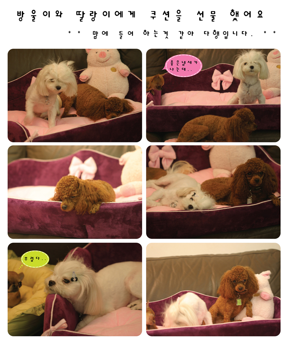 방울이와딸랑이