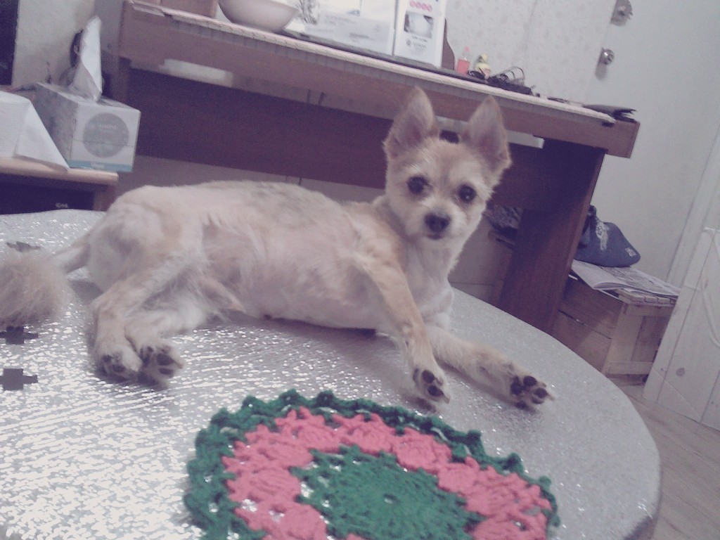 봉많형제 또 놀러왔어요