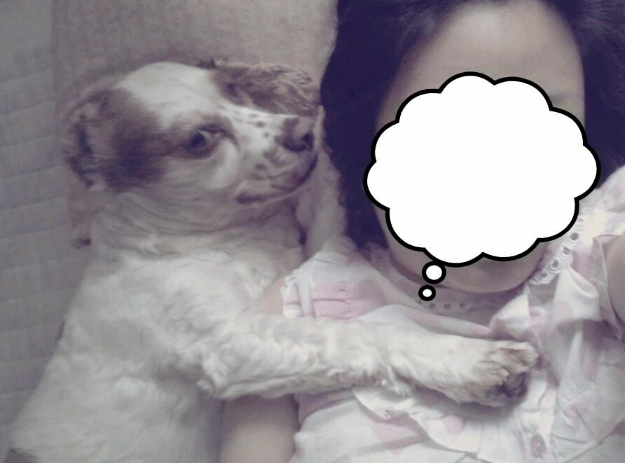 봉많형제 또 놀러왔어요