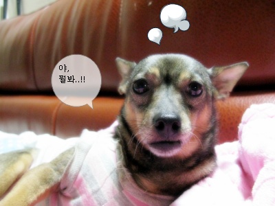 졸리 썩소 ㅠㅠ