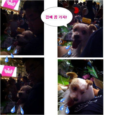 뚱순이 클래식 정복기!!!!