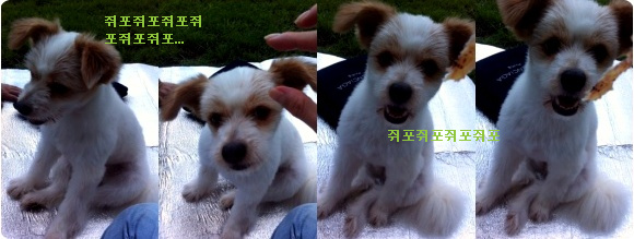 뚱순이 클래식 정복기!!!!