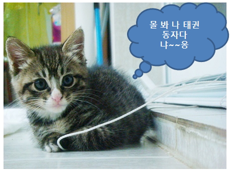 [임양 후기 1탄]와이프와 애들(달이, 짜장이) 개명에 따른 법정투쟁끝에 패소했어요.ㅎㅎ;; 애덜 이름이 궁금하시면 클릭ㅋㅋ