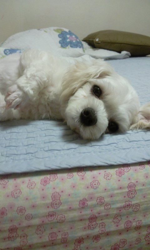울 구슬이 이뻐졌어요...