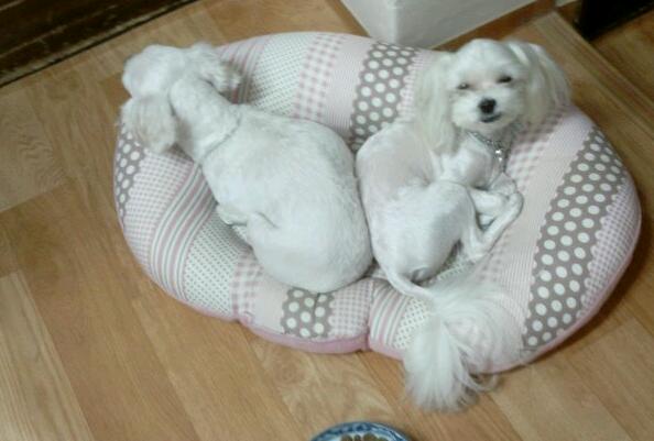 울 구슬이 이뻐졌어요...