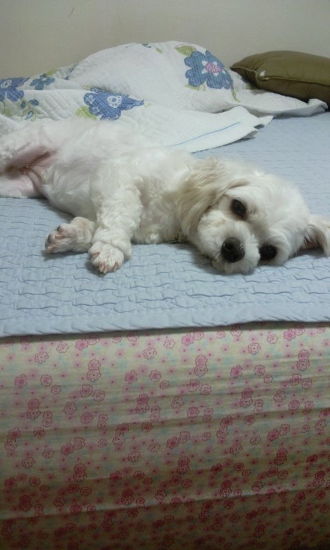 울 구슬이 이뻐졌어요...