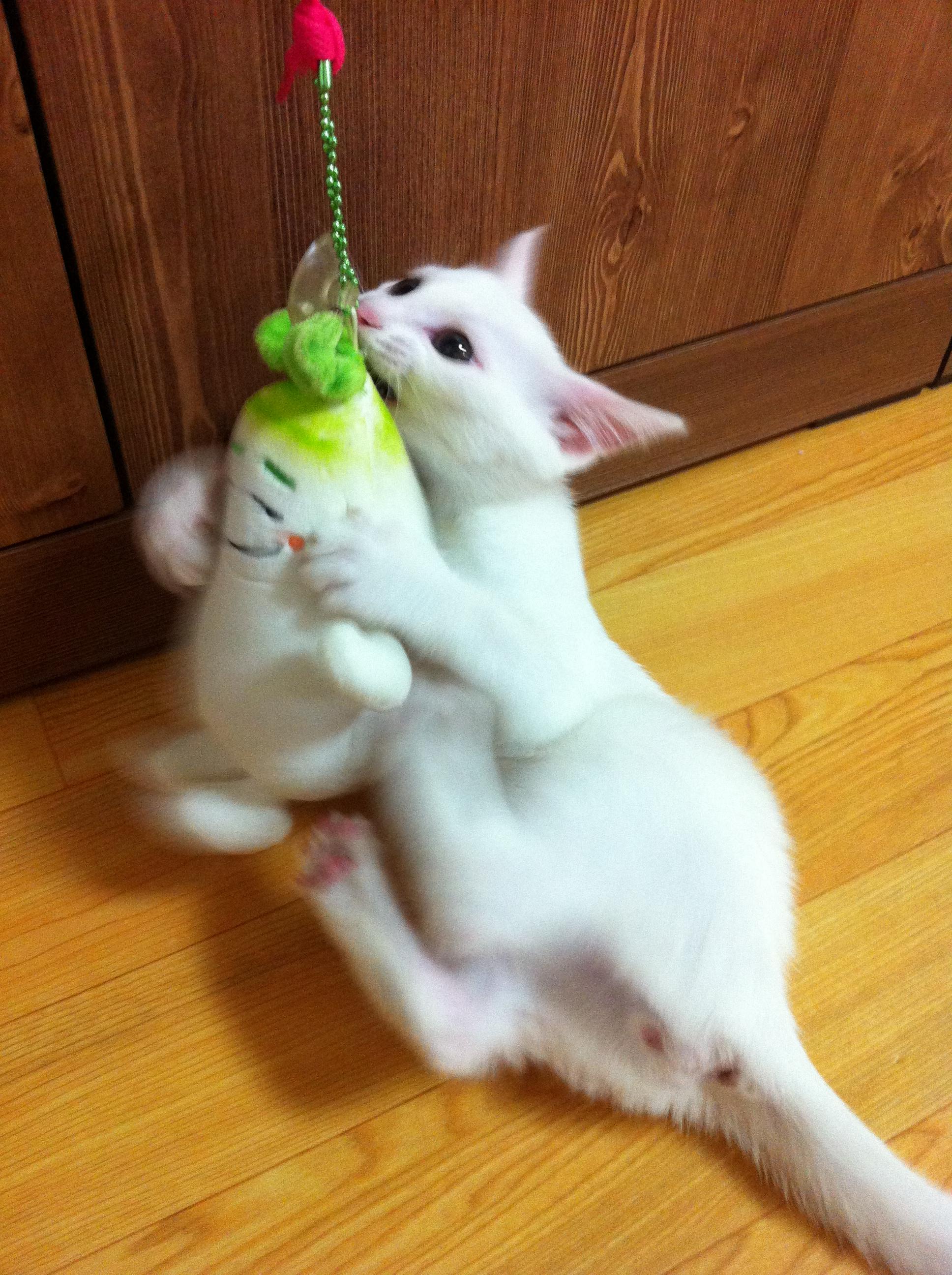 감자 소식올려요