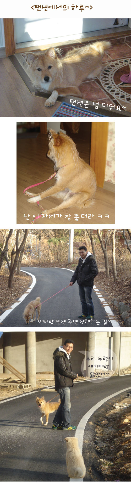 누렁이 강화도 여행기^^*
