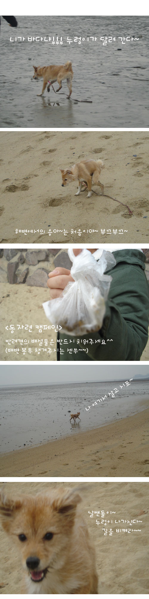 누렁이 강화도 여행기^^*
