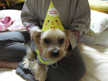 해탈(칸이) 울 식구 1주년^^