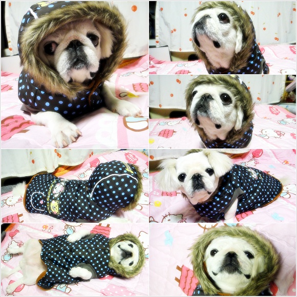2년만이네요~ 아띠소식입니다^^