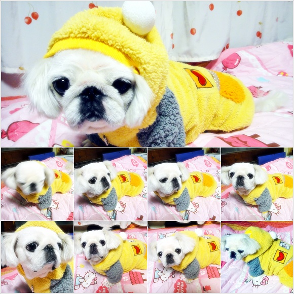 2년만이네요~ 아띠소식입니다^^
