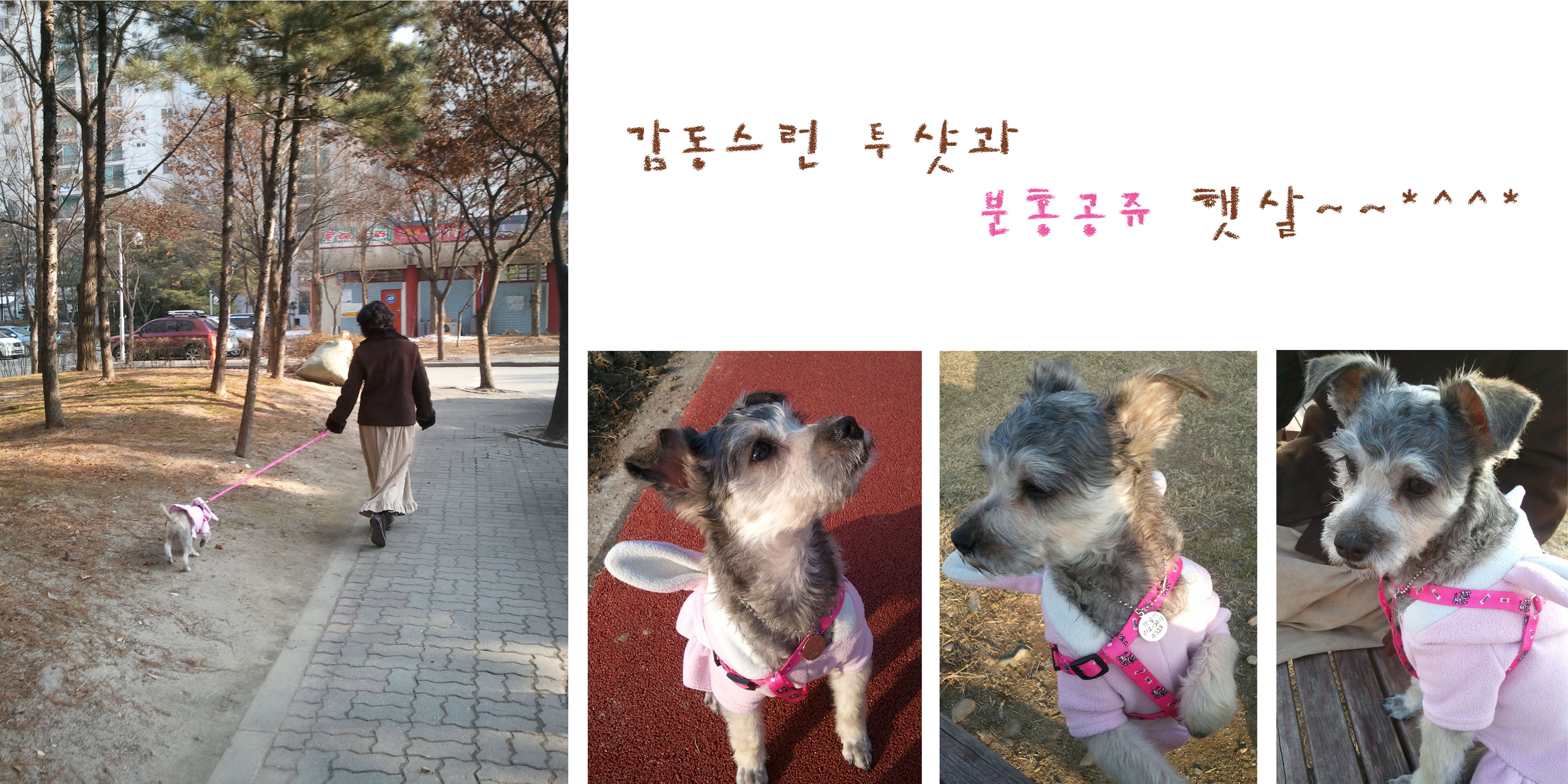 배변훈련까지 완벽히 마친 똘똘이 햇살양~~^0^