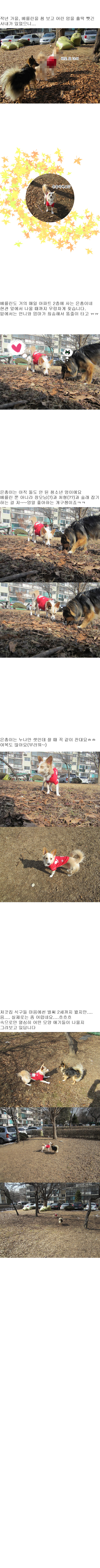 벨린에게 뿅 간 사내... 그리고