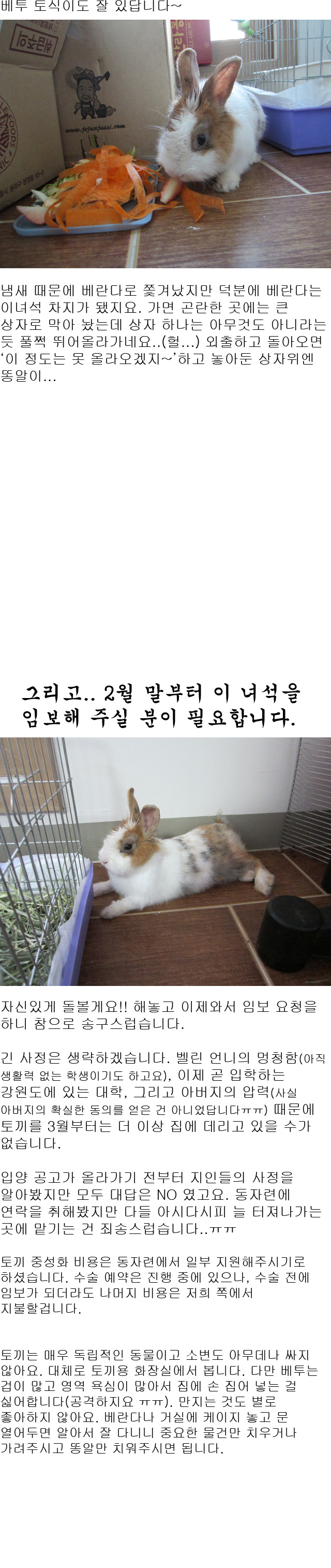 벨린에게 뿅 간 사내... 그리고