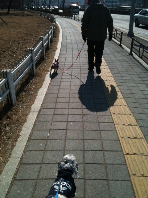 귀여운 괴물 또리