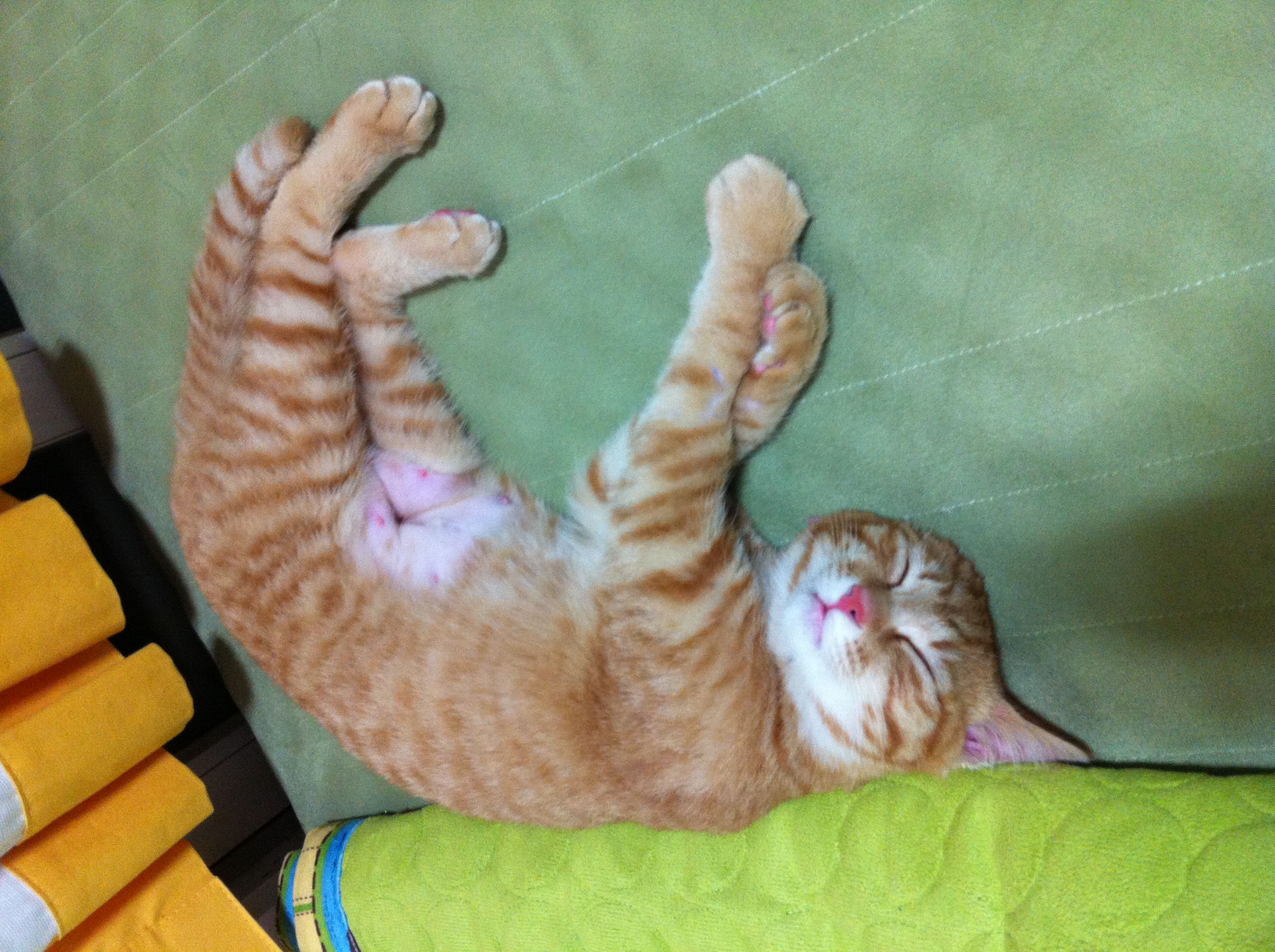 한비 소식입니다!