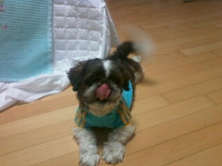 머털이 소식입니다^^