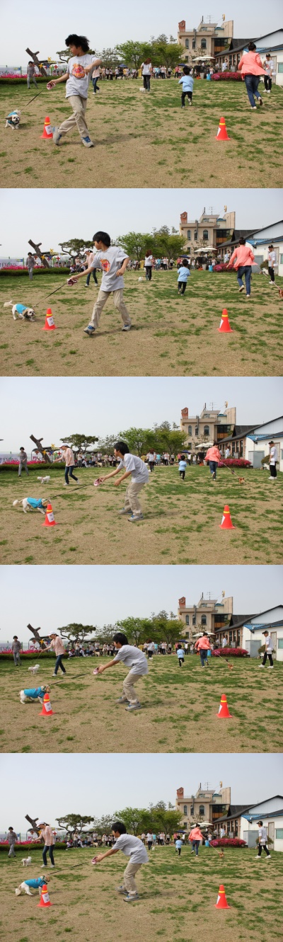 아톰의 하루하루