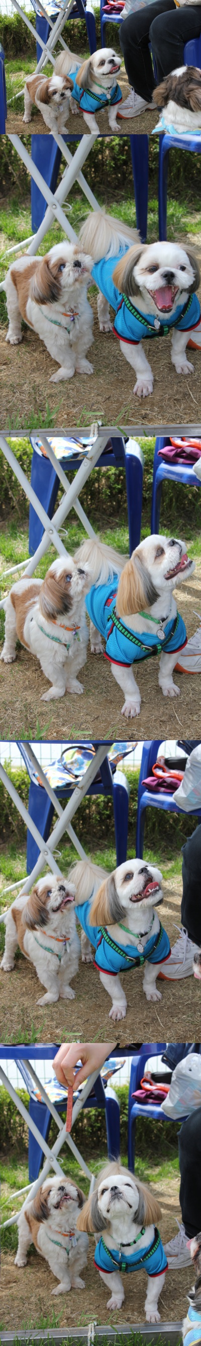 아쉬워서 아톰 사진 좀더 ㅎㅎ