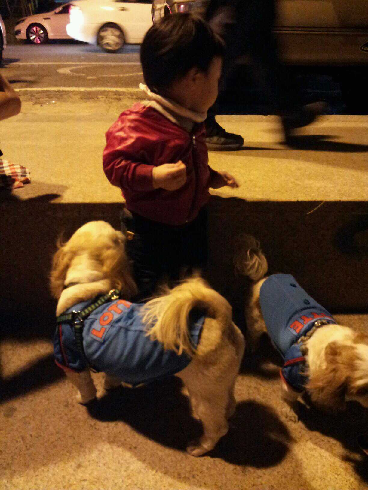 드뎌 모바일 버젼으로 아톰 사진 올려요