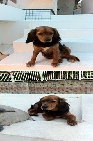 외모로 먹고 사는 애정이 ㅎ